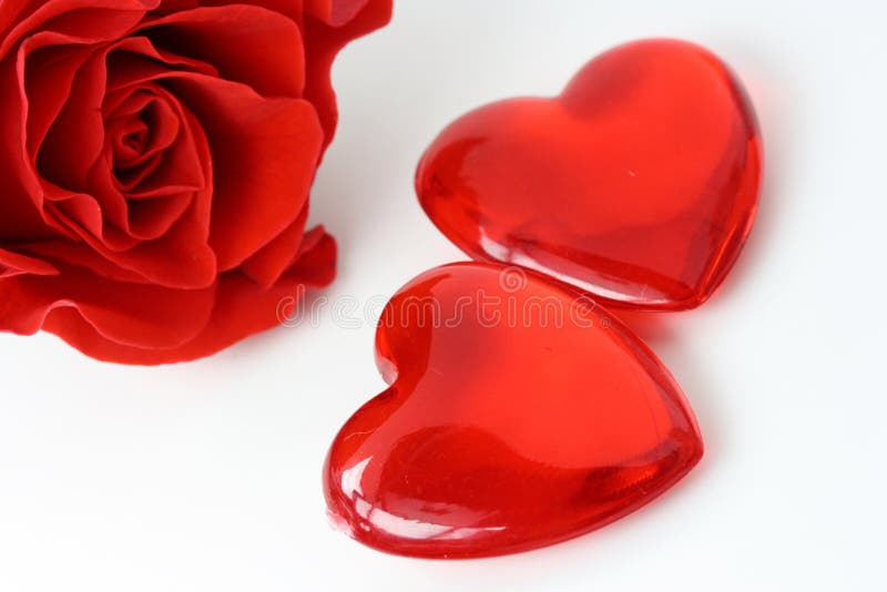 3,265 Two Hearts Rose Stock Photos - Free & Royalty-Free Stock Photos from Dreamstime 3,265 Two Hearts Rose Stock Photos - Free & Royalty-Free Stock Photos from Dreamstime