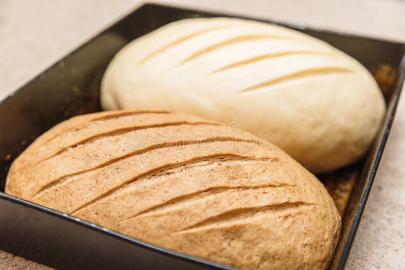 Two Homemade Bread Rolls Lie on a Baking Sheet Stock Photo Image of