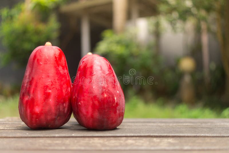 Two Jambu Guava on Wood Ground in Garden