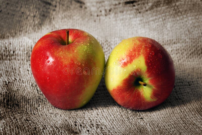 Two Jonagold Apples stock photo. Image of harvest, appetite 21778612