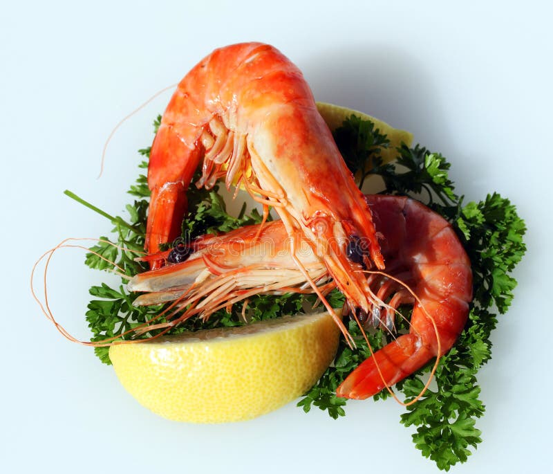 Australian Prawns Photos - Free & Royalty-Free Stock from Dreamstime