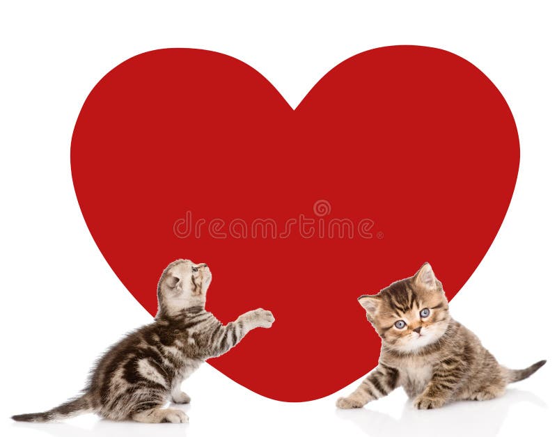 Silhouettes Of Two Sitting Cats Looking At Red Heart Pets Love Vector Icon  Stock Illustration - Download Image Now - iStock