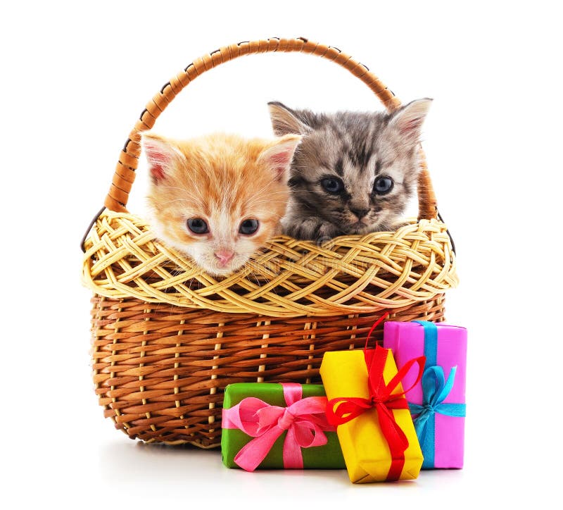 Two Kittens In A Basket With A Toy Heart. Stock Photo Image of couple