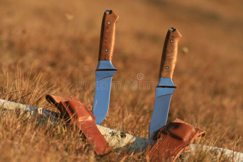 Two knives stock image. Image of wild, wood, camping 27553541