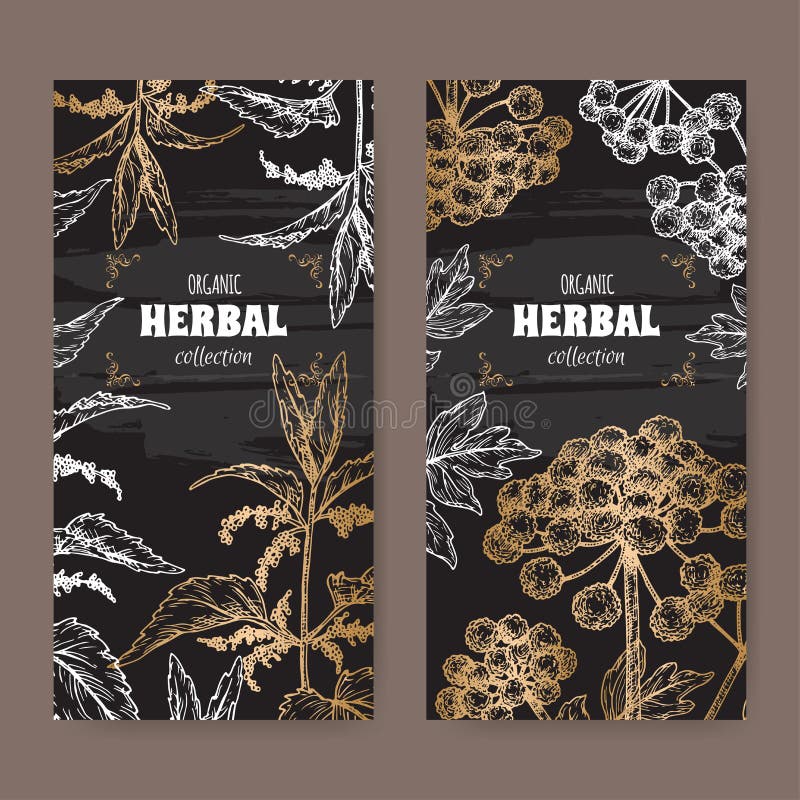 Herbal Apothecary Stickers Pack