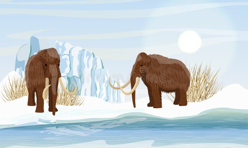 Two large woolly mammoth. Snow and glacier. Dry frozen grass by the sea. Prehistory animals. Ice Age.