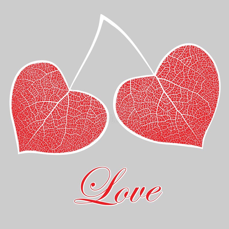 Download Two Leaves In The Form Of Heart, A Love Symbol Stock Vector - Illustration of nature, beautiful ...