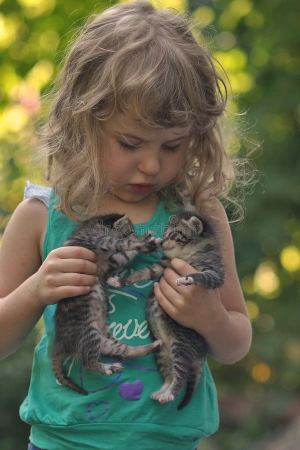 Two Little Kitten in the Hands of Little Girl Stock Image - Image of ...