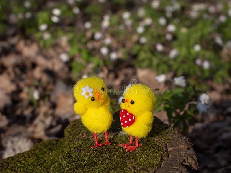 Two Little Yellow Chicken Standing on a Stump in the Middle of Flower