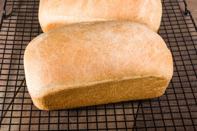 Two Loaves of Fresh Baked Bread Stock Image Image of baked, crop