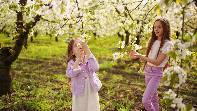 two long-haired girls sisters walk in the garden with flowering trees.