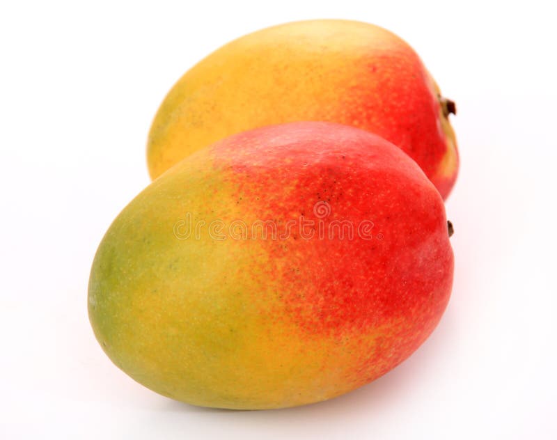 Mango stock photo. Image of fresh, gourmet, fruit, tropical 17499646