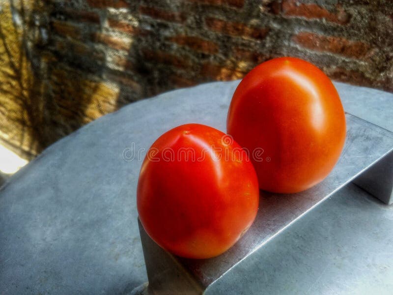 Medium Sized Tomatoes Stock Photos Free & RoyaltyFree Stock Photos