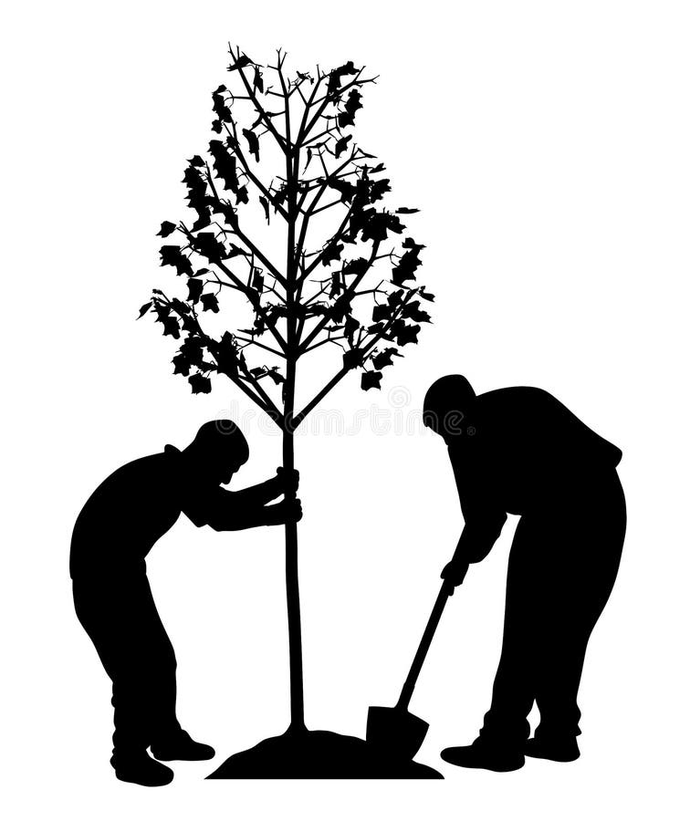 Two men planting a tree