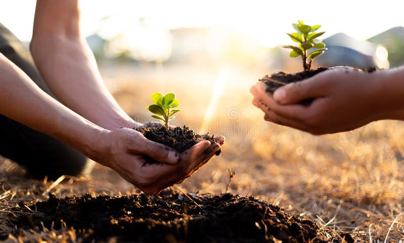 16,282 Planting Trees Photos - Free & Royalty-Free Stock Photos from  Dreamstime