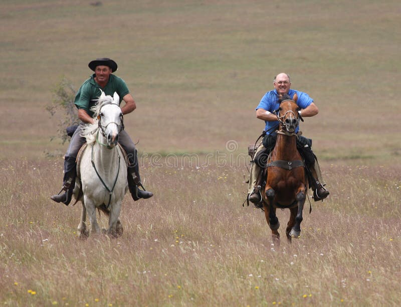 riding a horae at full gallop