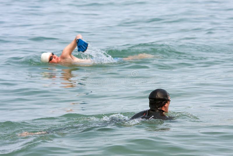 Swimmer in Wetsuit Prepares To Swim Lake Michigan Editorial Image