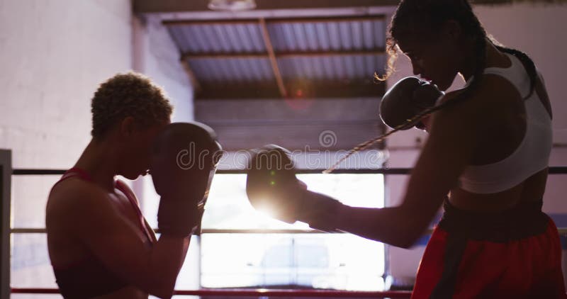 Mixed race woman getting knocked out in boxing ring from Pikwizard