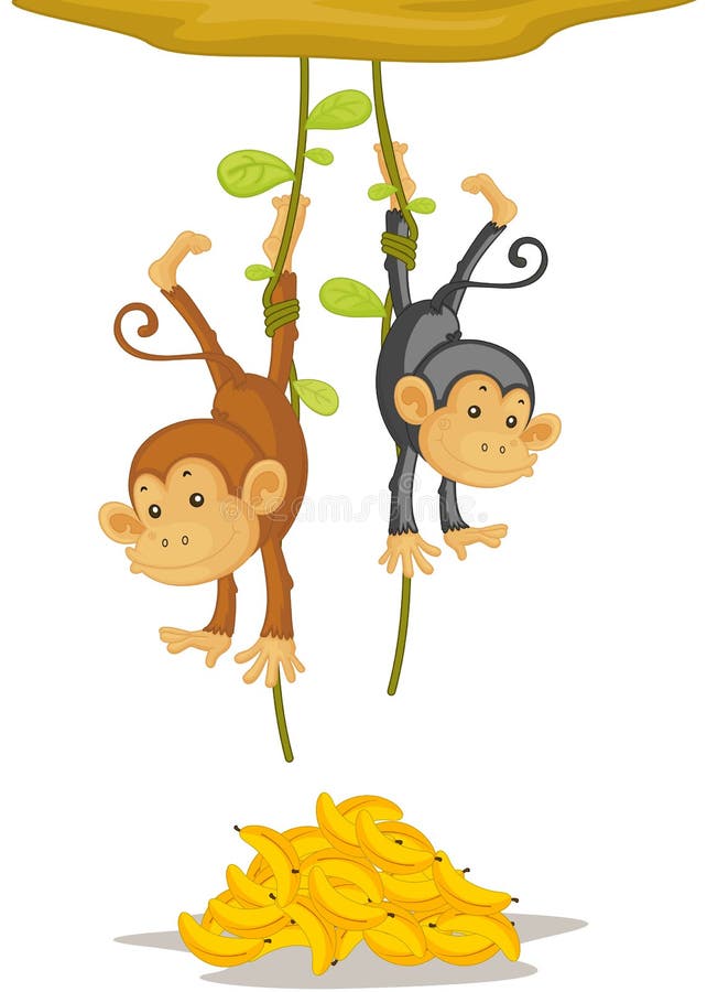 Two monkeys stock vector. Illustration of bunch, smile - 8957503 Two monkeys stock vector. Illustration of bunch, smile - 8957503