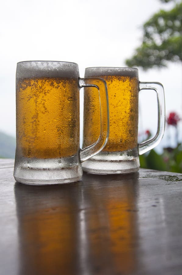 Two Mugs of Chilled Beer stock photo. Image of flavor 45390172