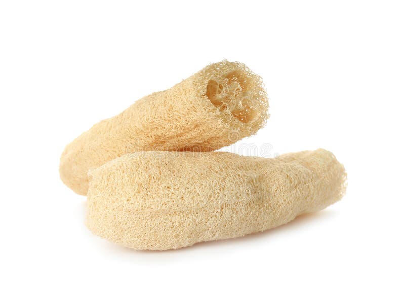 Two Natural Loofah Sponges Isolated on White Stock Image Image of