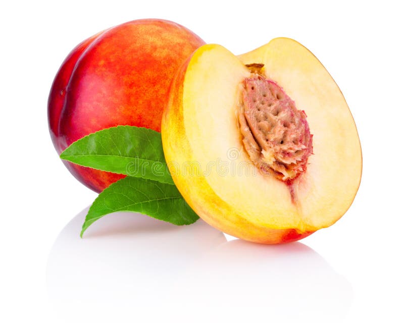 470 Full Half Nectarine White Stock Photos Free & RoyaltyFree Stock