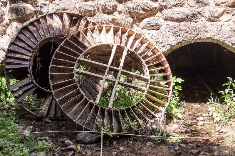 Two old big wheel in the woods