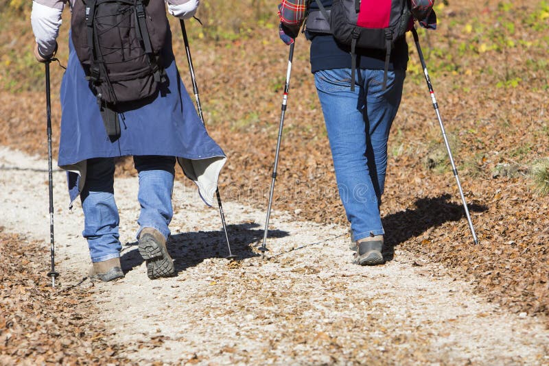 Two older men walking stock image. Image of jogging, exercise - 79864479