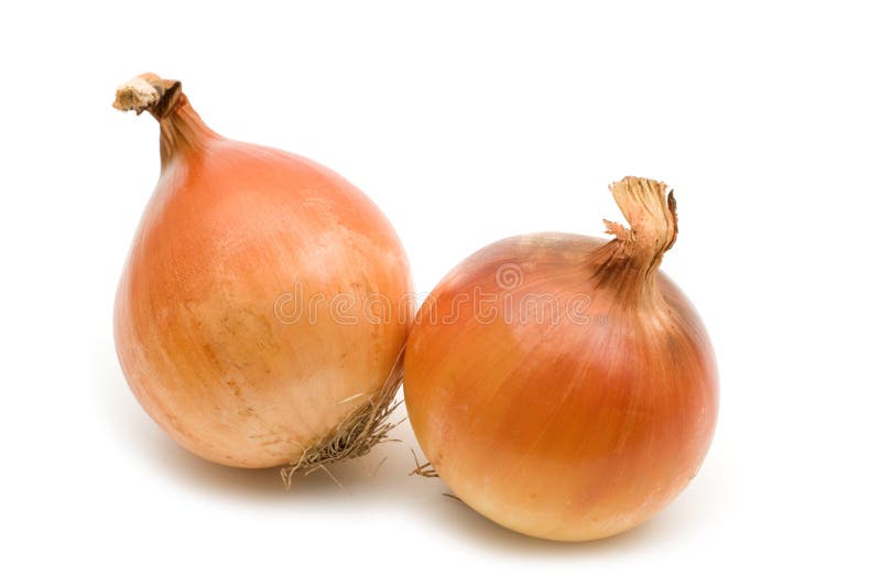 Two onion stock image. Image of ripe, part, diet, white 6742109