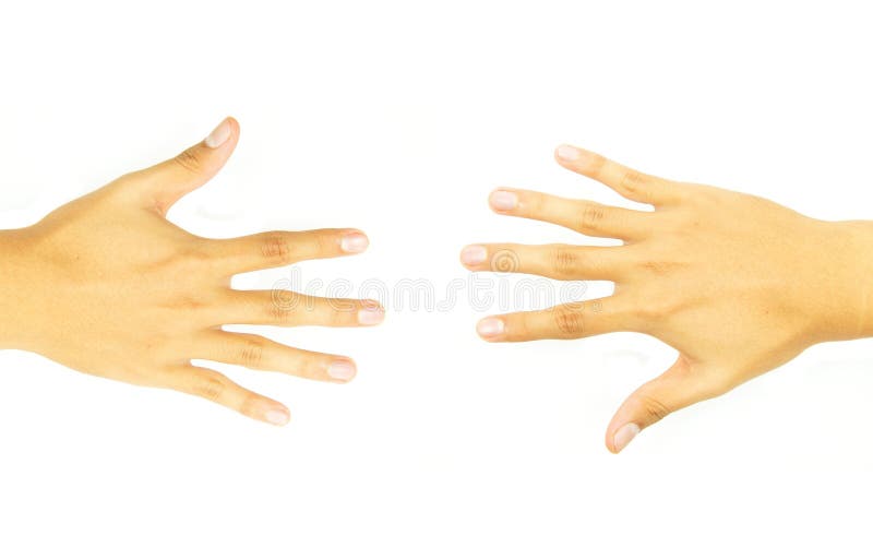 Two open hand of the opposite side