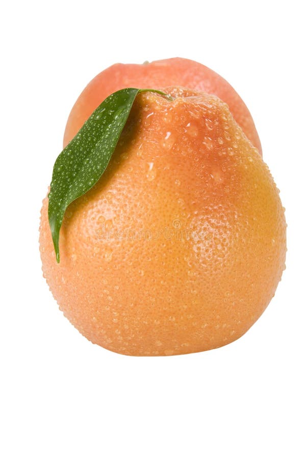 Two orange on a white background