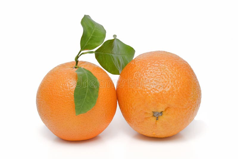 Two Oranges. Stock Images Image 12612094