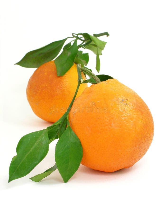 Two oranges 4