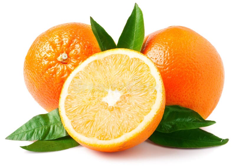 Two Oranges Isolated on White Background Stock Photo Image of vitamin