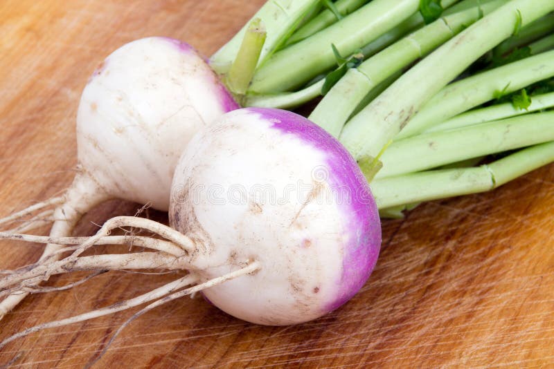 Two organic purple top turnip