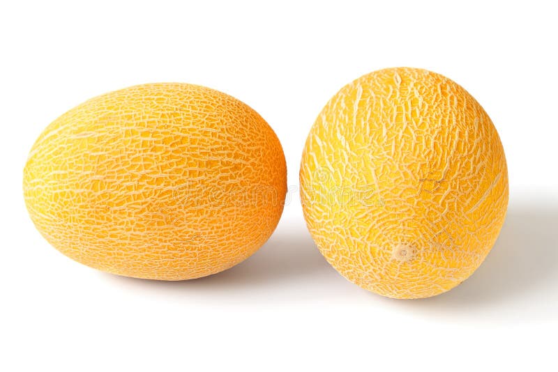 Two oval yellow ripe melon stock photo. Image of dieting 186950706