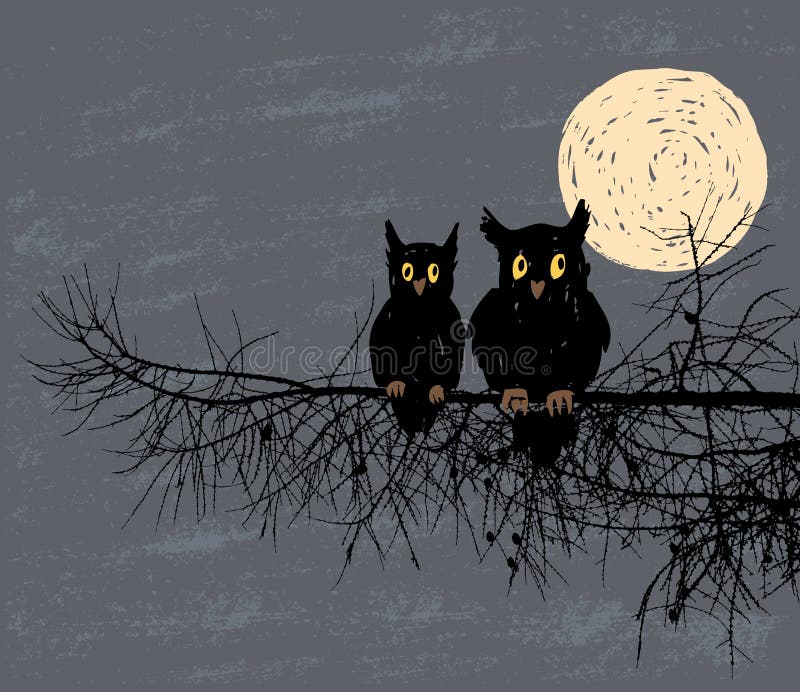 Two owls in the night forest