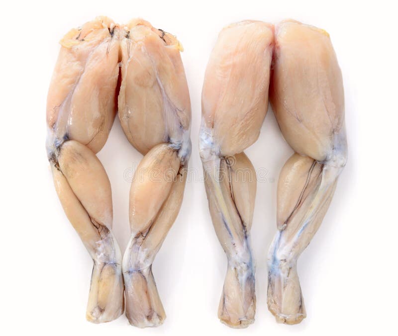 Two Pairs of Fresh Frog Legs on white background.