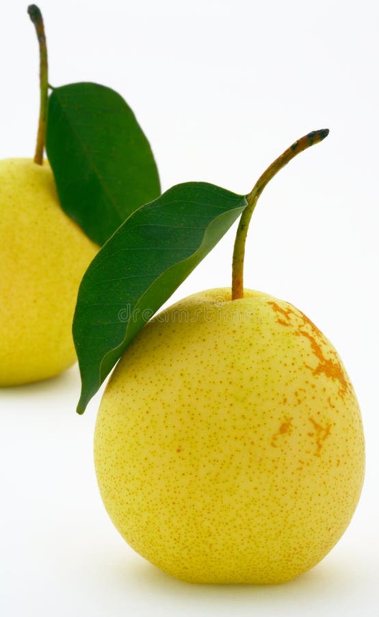 Two pears