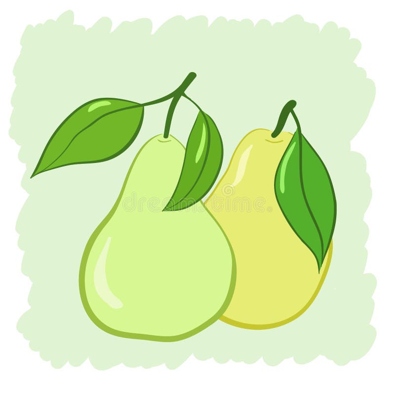 Two Pears Stock Illustrations 505 Two Pears Stock Illustrations