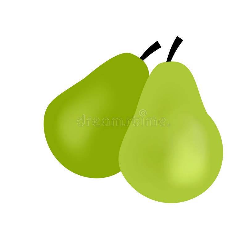 Two Pears Stock Illustrations 460 Two Pears Stock Illustrations