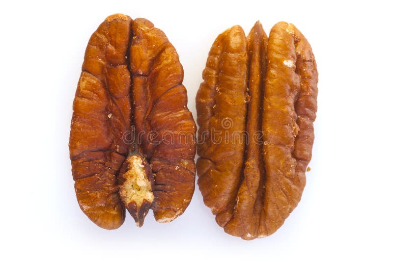 Two Pecan Nuts