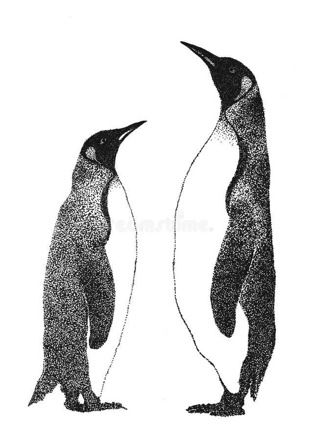 Two penguins