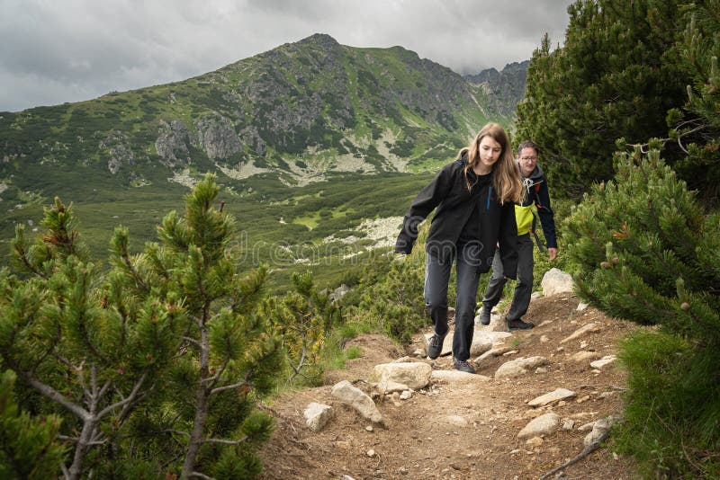 Two people hiking on rocky trail in HIgh Tatras mountains in Slovakia surrounded by dwarf pine and other coniferous trees. Top of