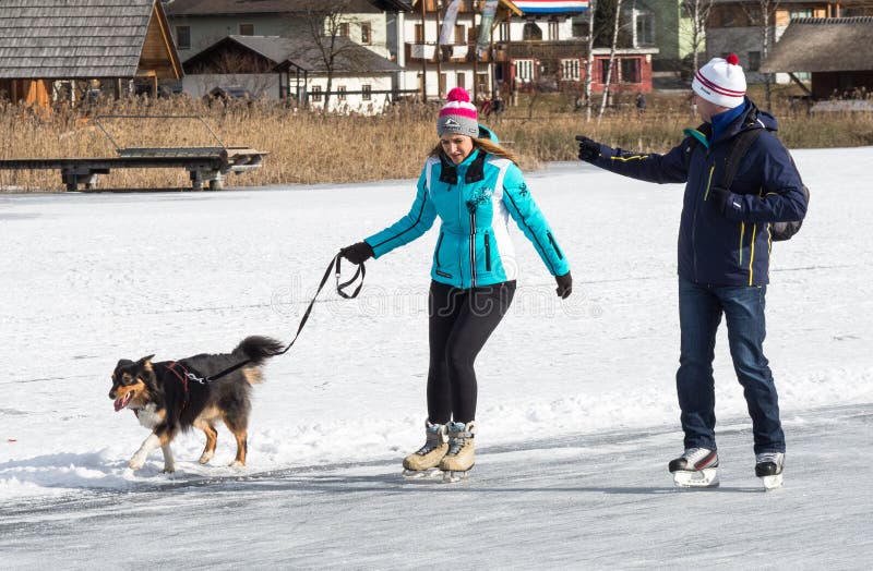 410 Dog Ice Skating Stock Photos, High-Res Pictures, and Images - Getty  Images
