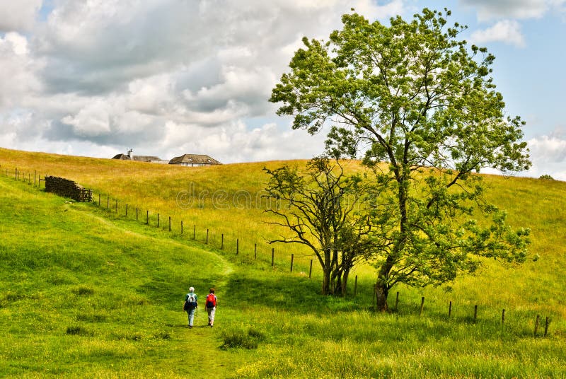 Two people walking through a golden meadow.