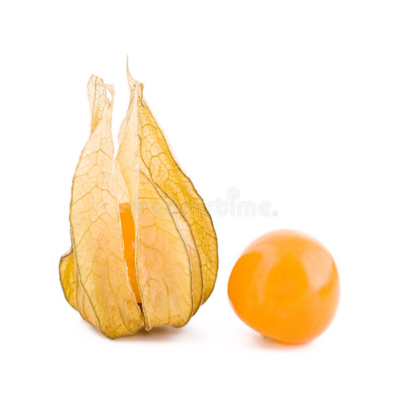 Two Physalis Fruits Picture. Image 17746410