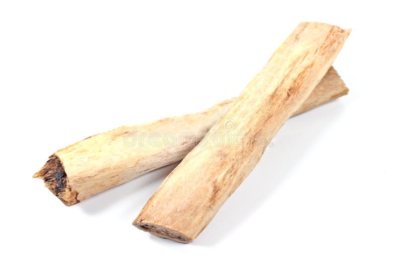 Two Pieces of Beef Rib Bones Stock Photo Image of flavours, bone