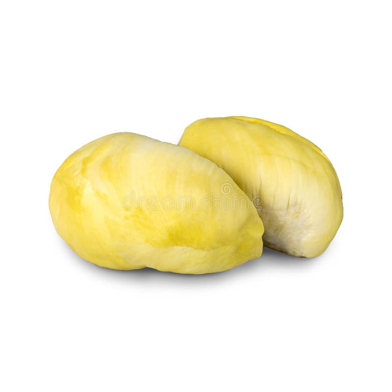 Two pieces of durian isolated on white background. with clipping paths stock photos
