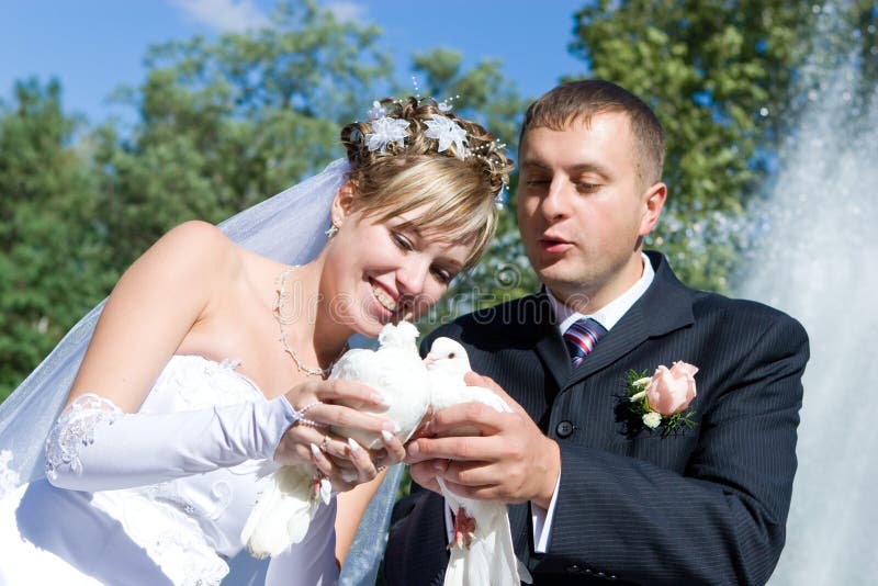 Two pigeons in hands of newly-married couple